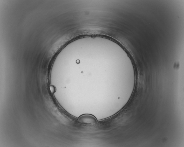 X0000111810485200908131502