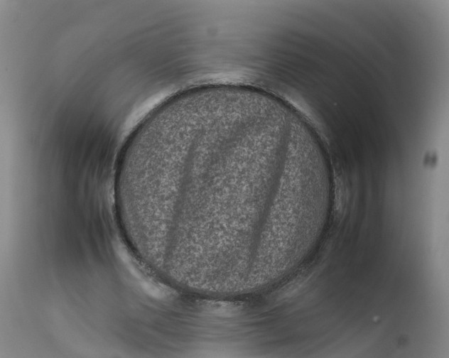 X0000111810486200908131502