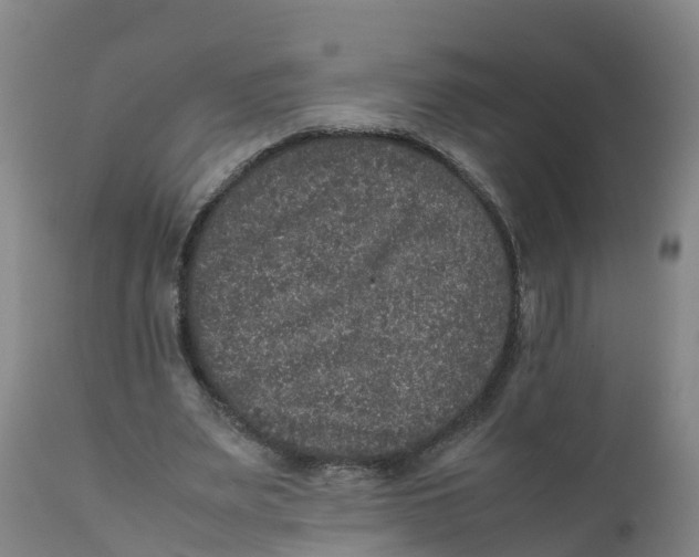 X0000111810487200908131502