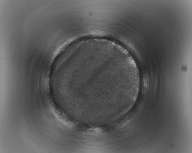 X0000111810492200908131502