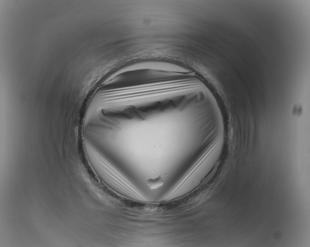 X0000111810493200908131502
