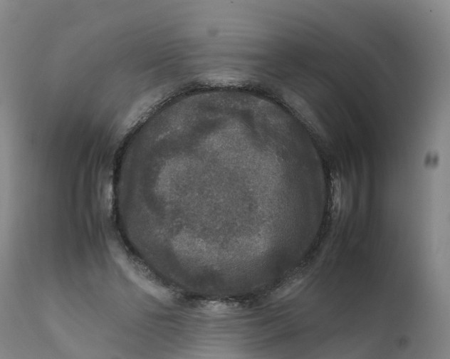 X0000111810494200908131502