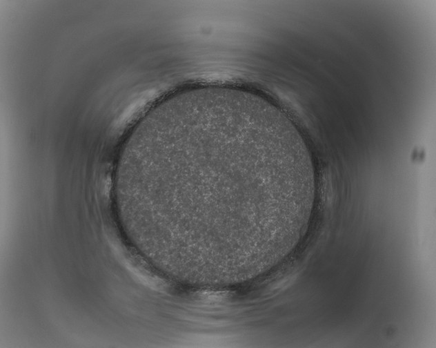 X0000111810495200908131502
