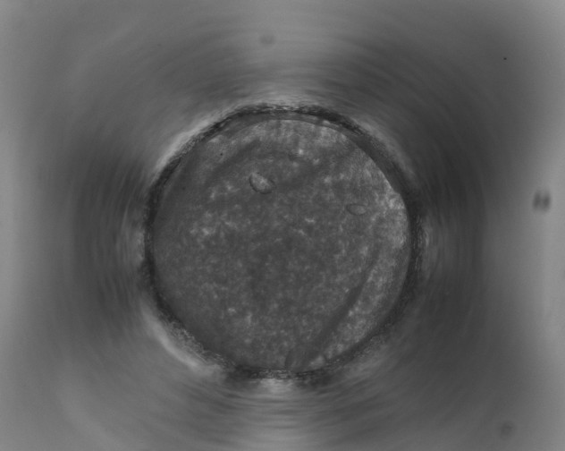 X0000111810496200908131502