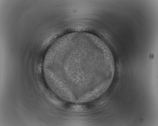X0000111810499200908131502