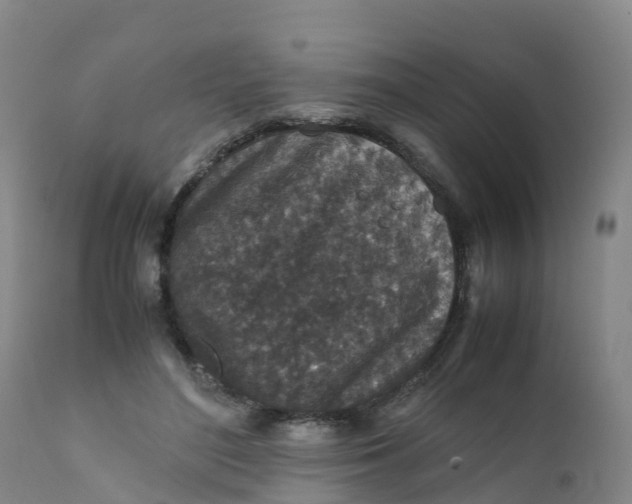 X0000111810500200908131502