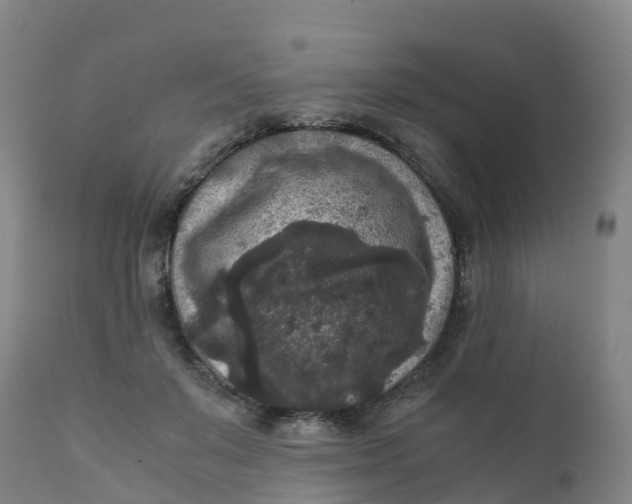 X0000111810503200908131502