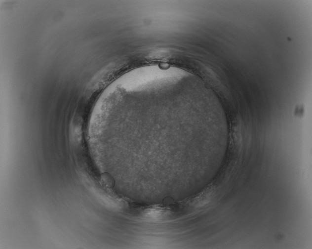X0000111810504200908131502