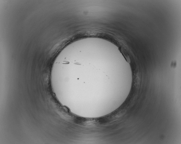 X0000111810505200908131502