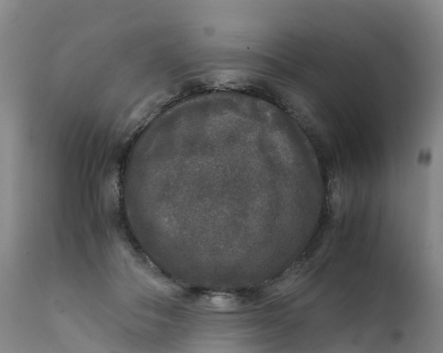 X0000111810506200908131502