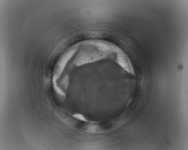 X0000111810507200908131502