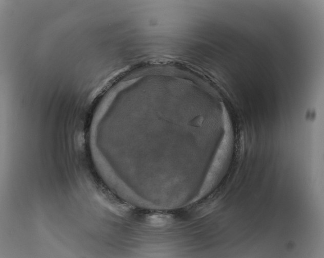 X0000111810508200908131502