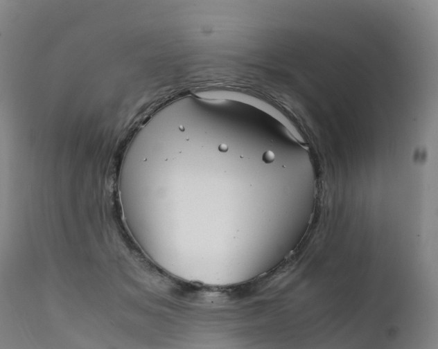 X0000111810509200908131502