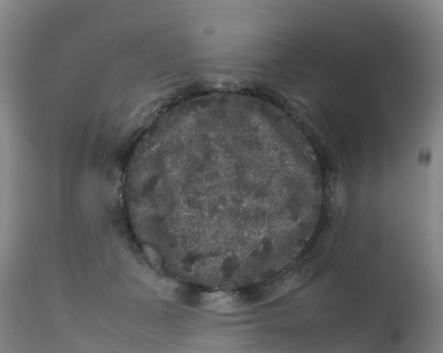 X0000111810511200908131502