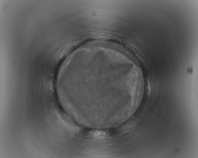 X0000111810512200908131502