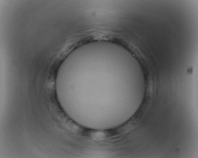 X0000111810513200908131502