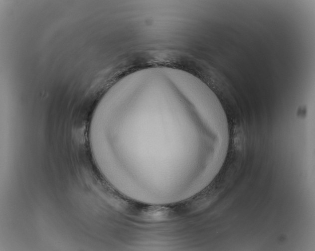 X0000111810514200908131502
