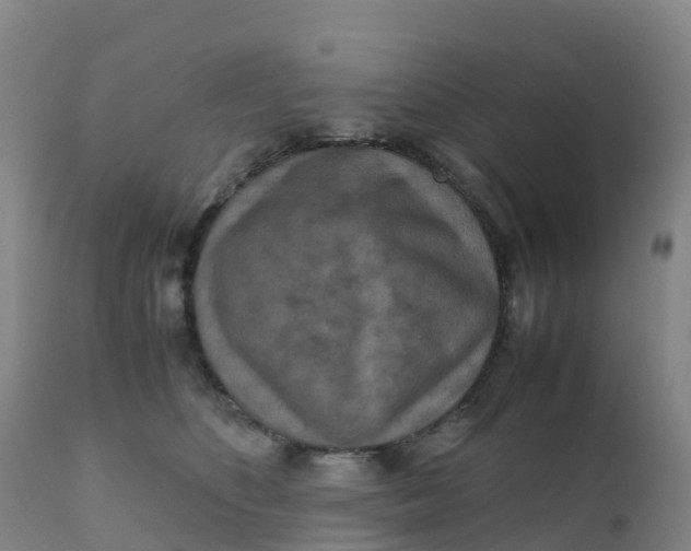 X0000111810516200908131502