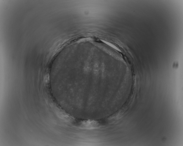 X0000111810517200908131502