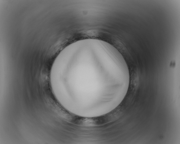 X0000111810518200908131502