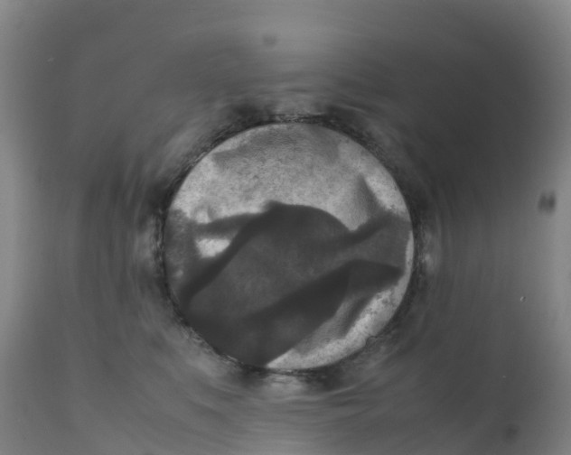 X0000111810519200908131502