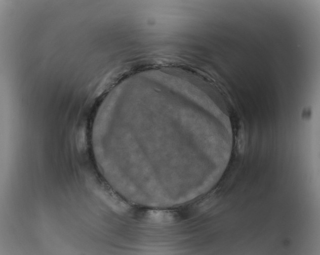 X0000111810520200908131502