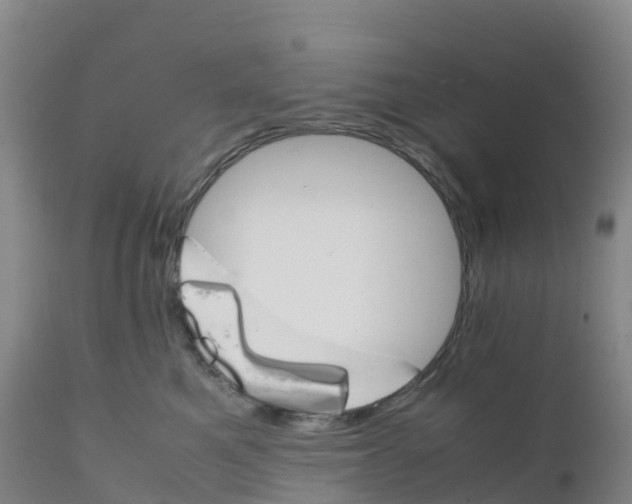 X0000111810521200908131502
