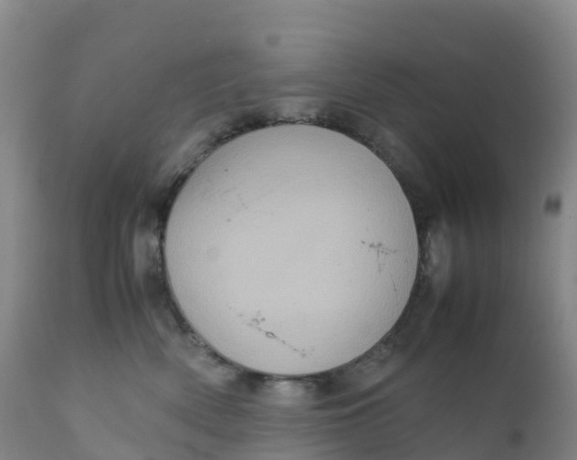 X0000111810522200908131502