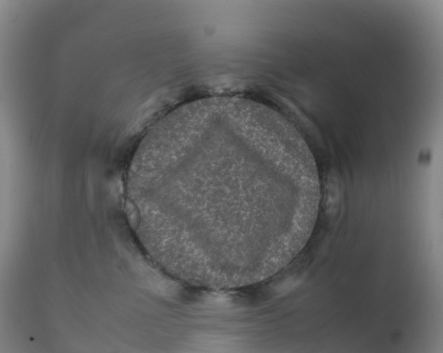 X0000111810523200908131502