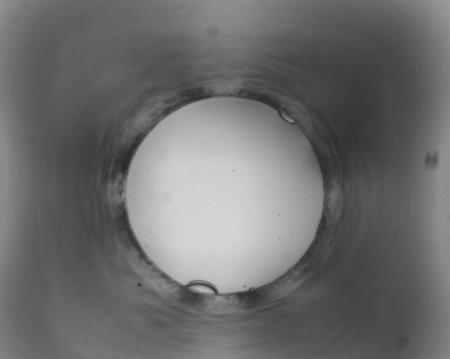 X0000111810525200908131502