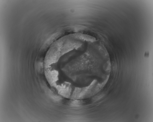 X0000111810527200908131502