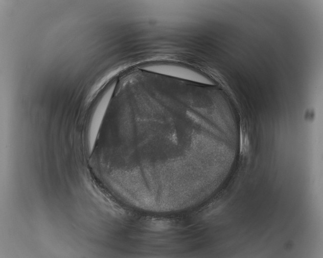 X0000111810531200908131501
