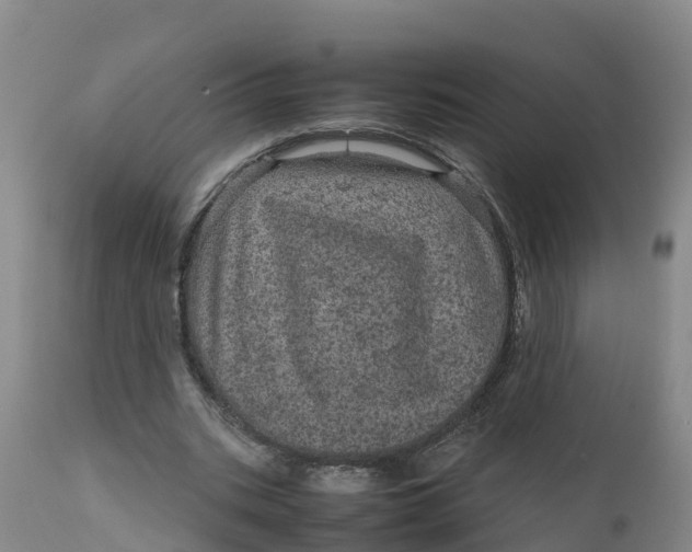 X0000111810535200908131501