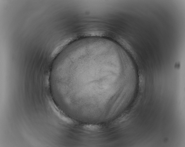 X0000111810537200908131501