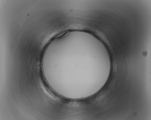 X0000111810538200908131501
