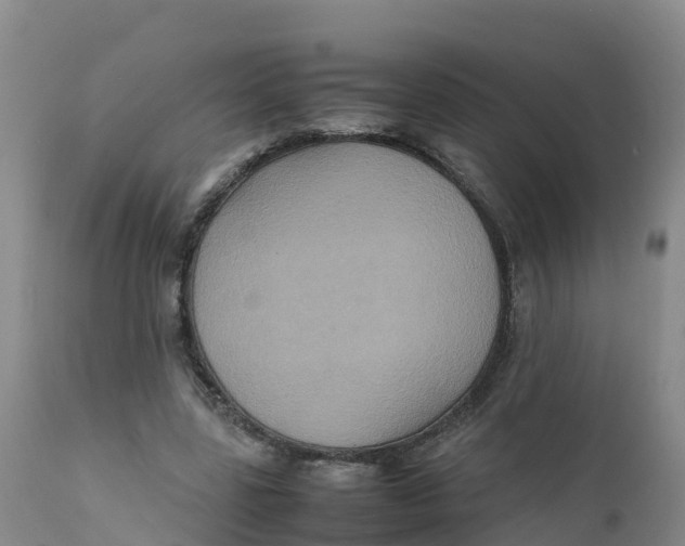 X0000111810539200908131501