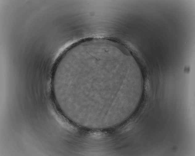 X0000111810540200908131501