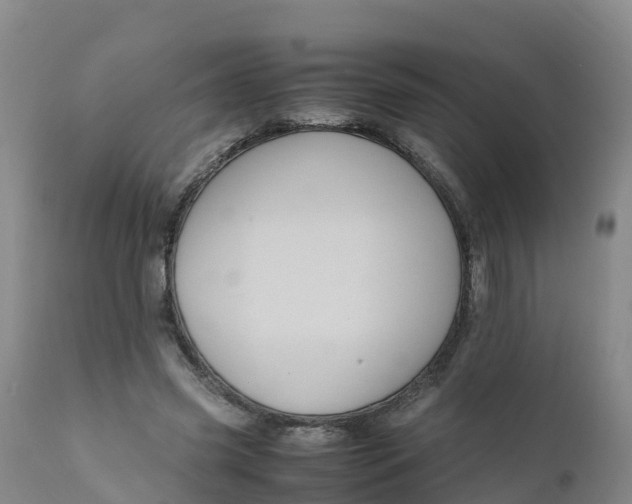X0000111810541200908131501