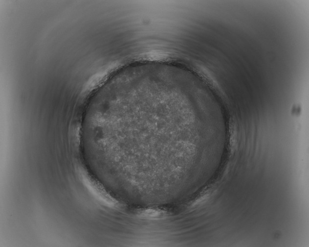 X0000111810542200908131501