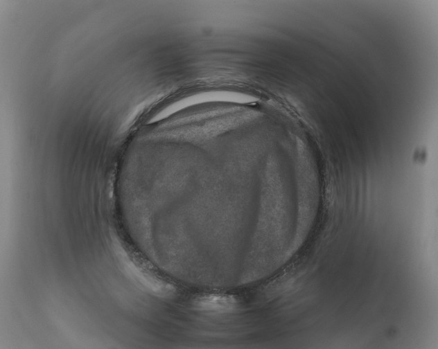 X0000111810543200908131501