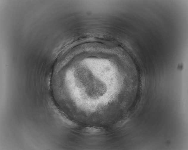 X0000111810545200908131501
