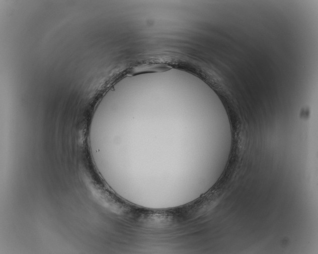 X0000111810546200908131501