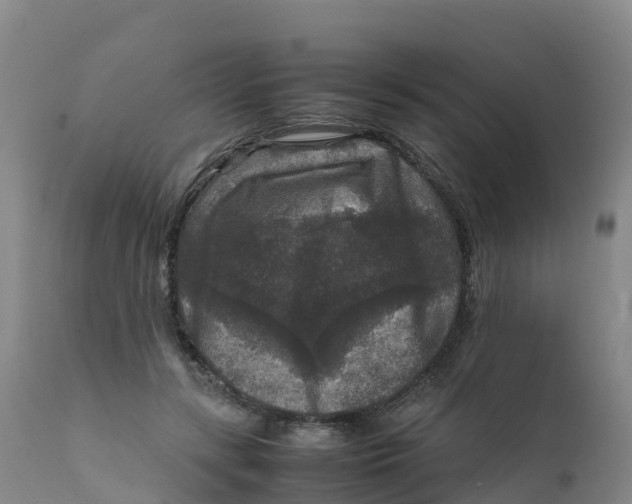 X0000111810547200908131501