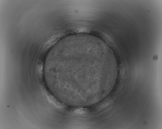 X0000111810550200908131501