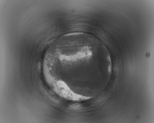 X0000111810551200908131501