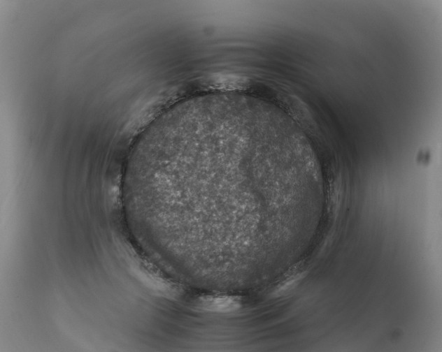 X0000111810553200908131501