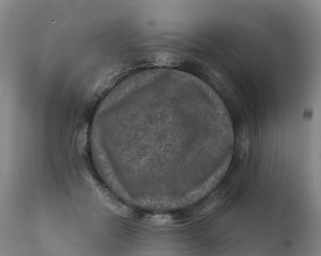 X0000111810554200908131501