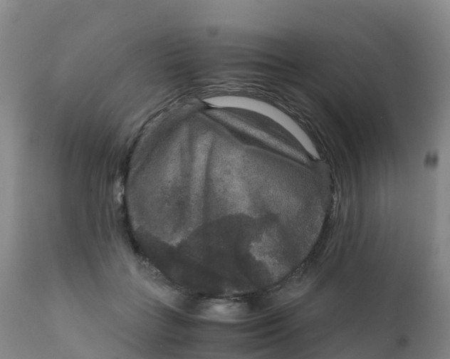 X0000111810555200908131501