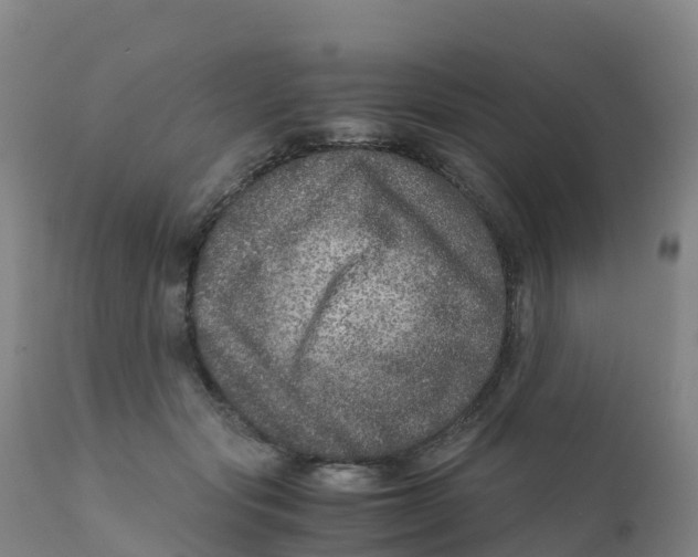 X0000111810557200908131502