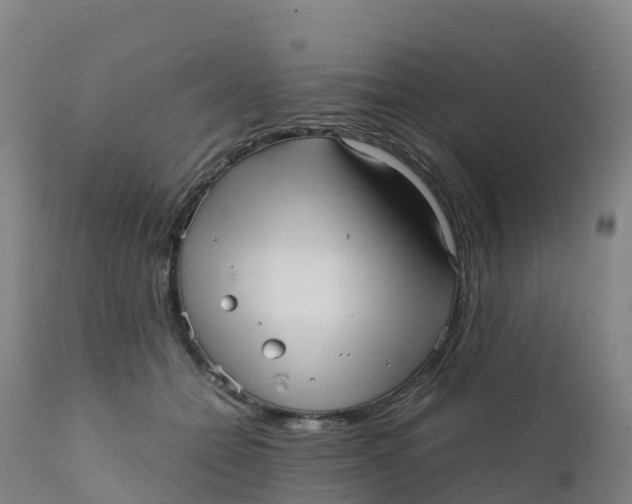 X0000111810558200908131502